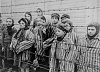 Clicca l'immagine per ingrandirla. 

Nome: Child_survivors_of_Auschwitz.jpg 
Visualizzazioni: 2852 
Dimensione: 21.5 KB 
ID: 3924