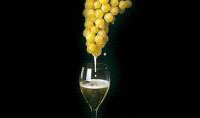 Berlucchi Gran Riserva 1997