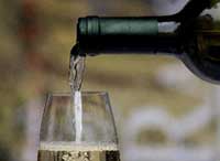 Muller Thurgau