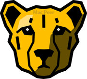Cheetah 3D