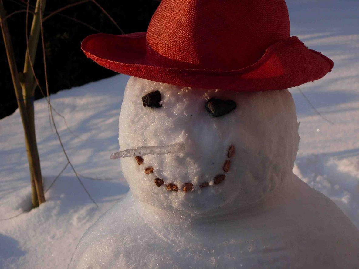 Snowman.jpg
