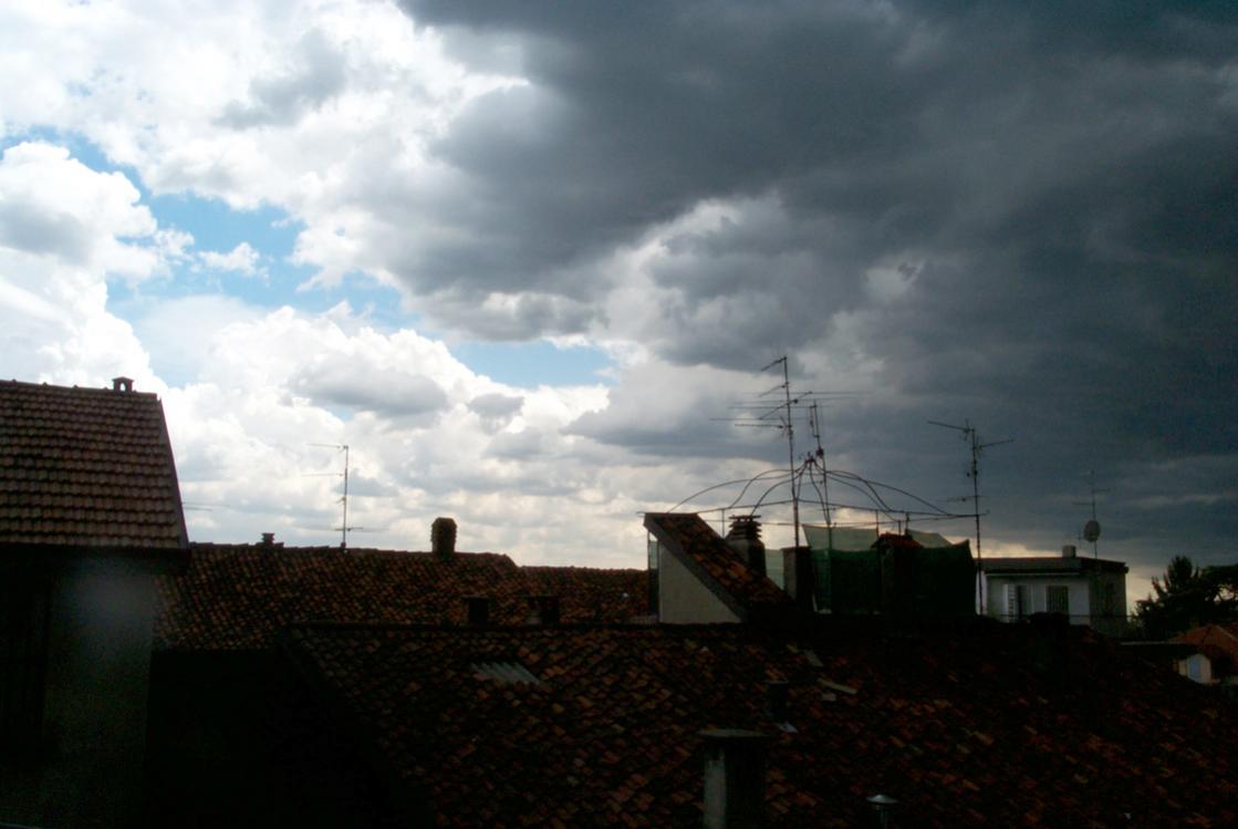 P0003758rid.jpg