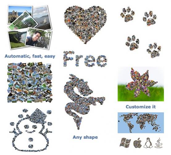 Shape Collage.jpg