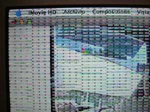 DSCF1679.jpg