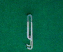 fianco.jpg