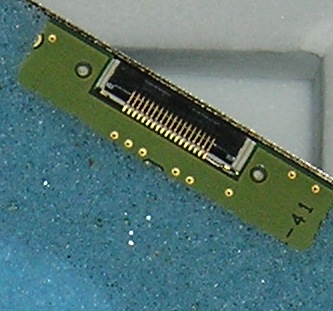 P1010017.JPG