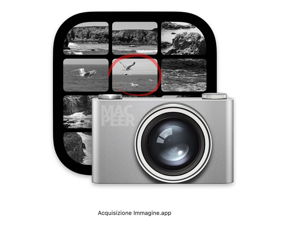 Acquisizione Immagine
