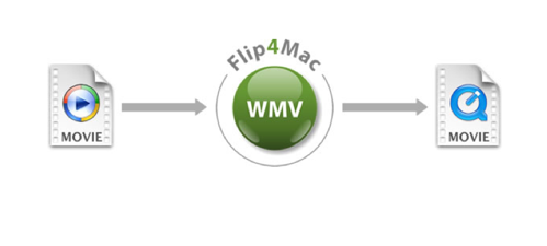 Flip4Mac WMV 2.4.2.4.