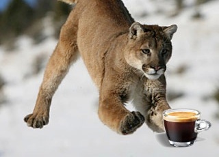 Caffeinate, per tenere sveglio Mountain Lion