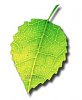 Clicca l'immagine per ingrandirla. 

Nome: ZZ321C8AA2.jpg 
Visualizzazioni: 310 
Dimensione: 13.6 KB 
ID: 3563