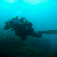 L'avatar di divemaster