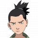 L'avatar di shika